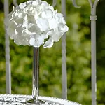Otel Contessa - Luxury Bad Saarow