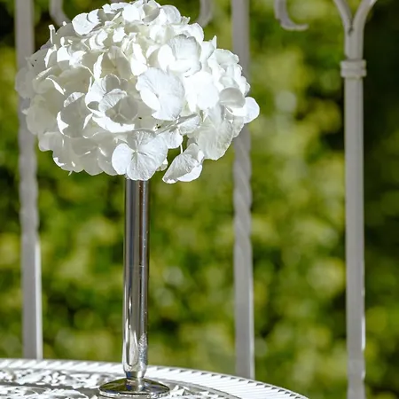 Hotel Contessa - Luxury Bad Saarow