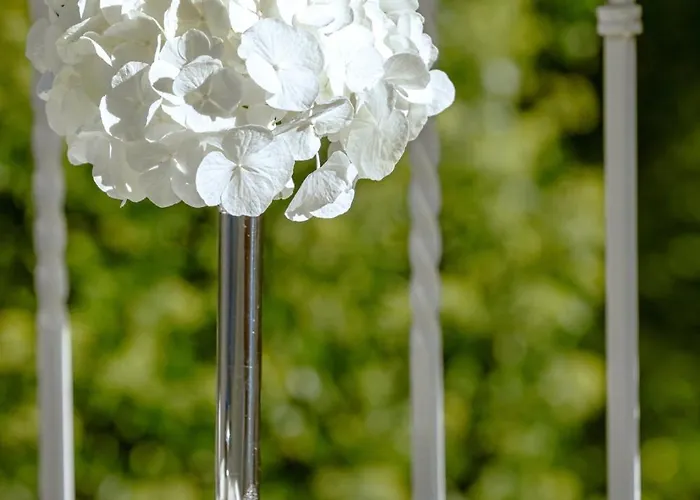 فندق Contessa - Luxury باد سارو